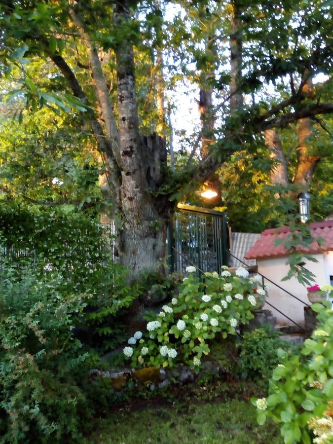 Bed and Breakfast Al Castagno Vico Equense Exterior foto