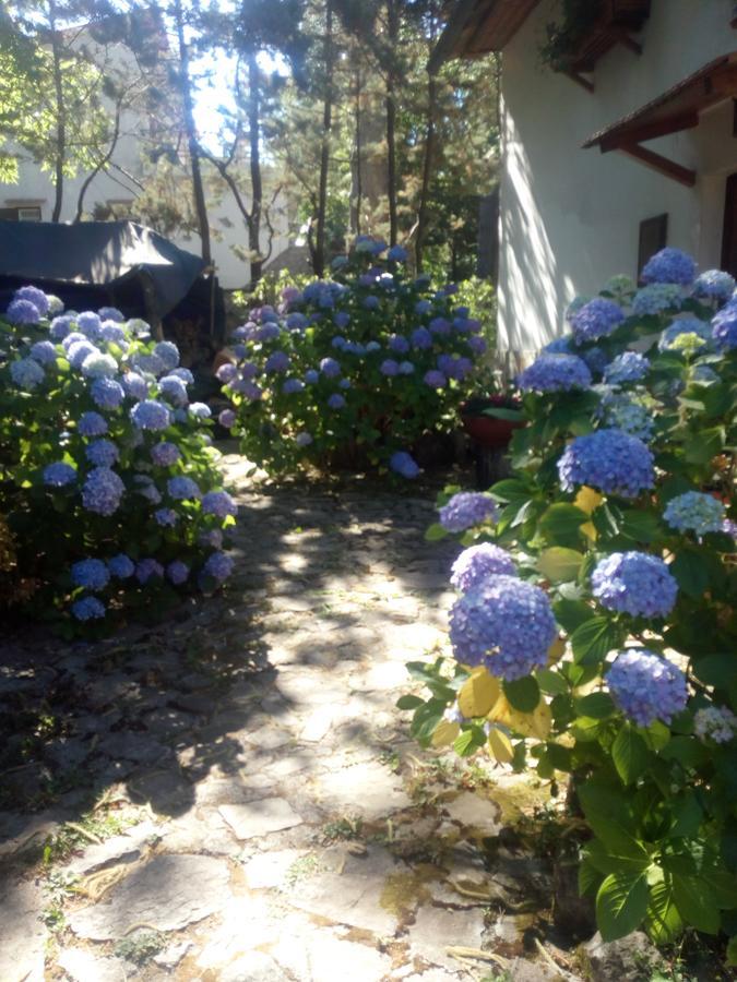 Bed and Breakfast Al Castagno Vico Equense Exterior foto